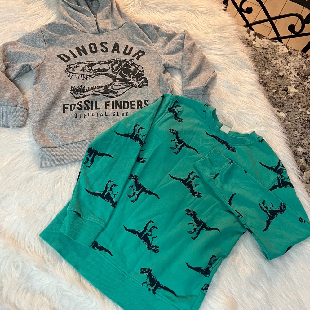 H&M Gray and Green Dinosaur Sweatshirts
